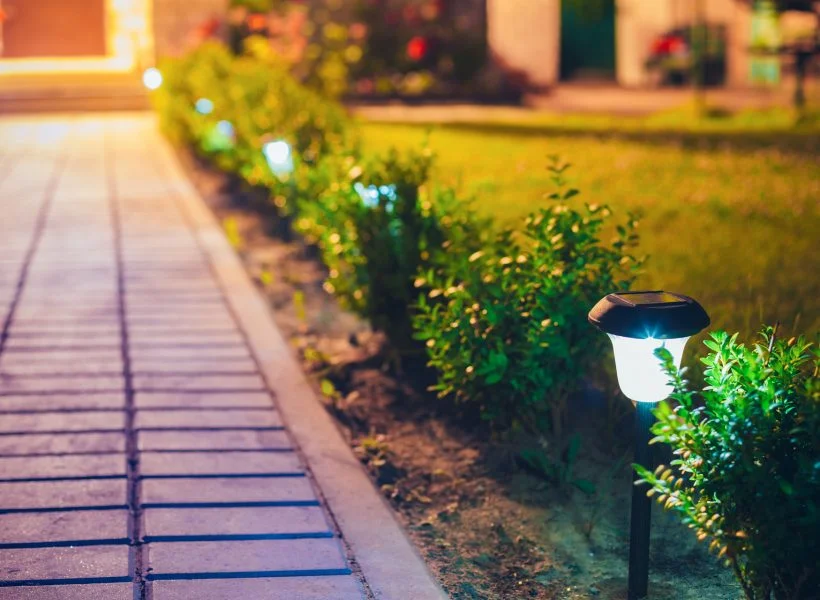 Arizona landscape pathway lighting at night