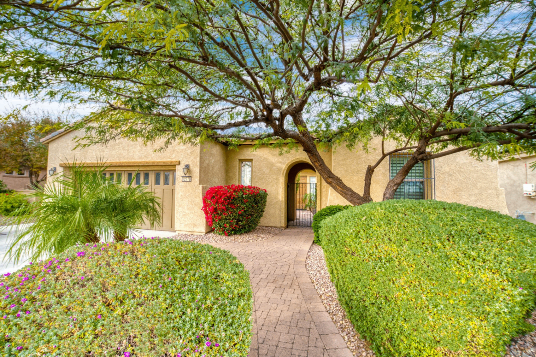 Arizona home front landscaping