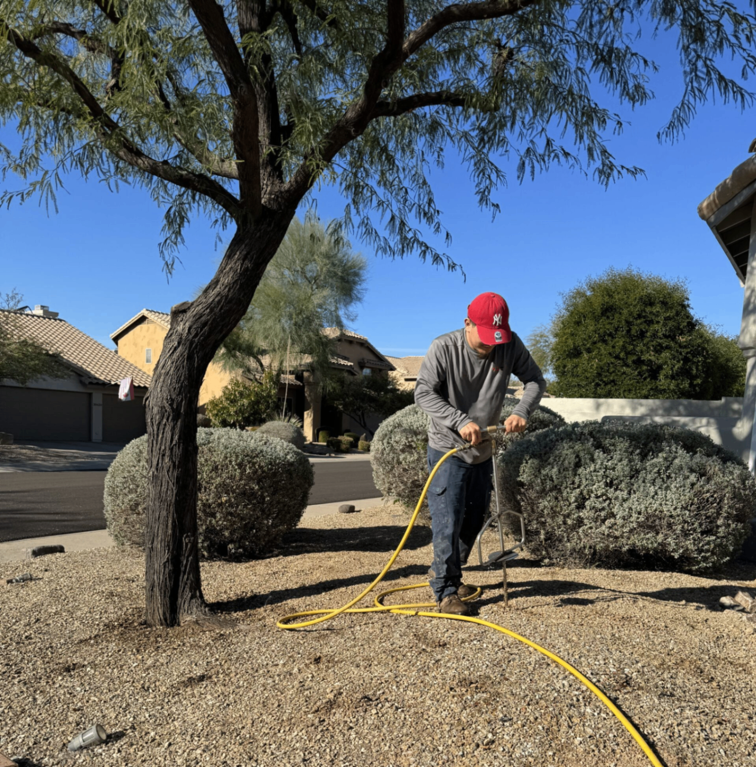 Arizona tree and shrub service technician